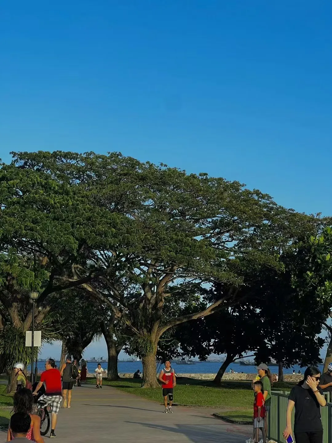 新加坡东海岸公园